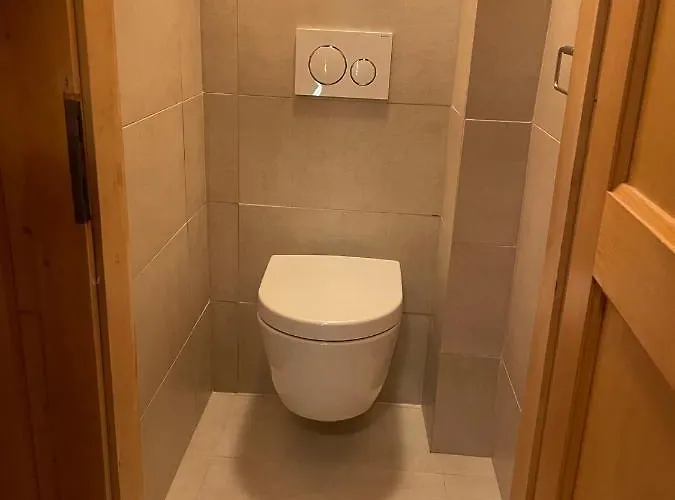 Apartamento Singlinaz Zinal